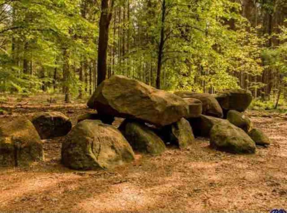 Anloo Chalet Midden In De Natuur! מראה חיצוני תמונה